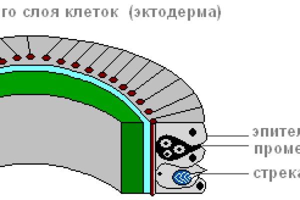 Кракен даркнет ссылка на сайт