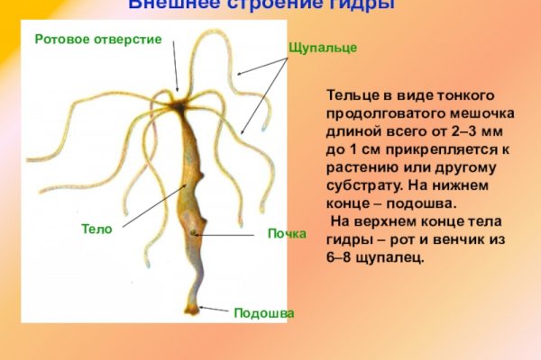 Сайты с наркотиками