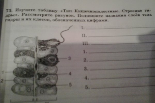 Кракен тор gigageek ru